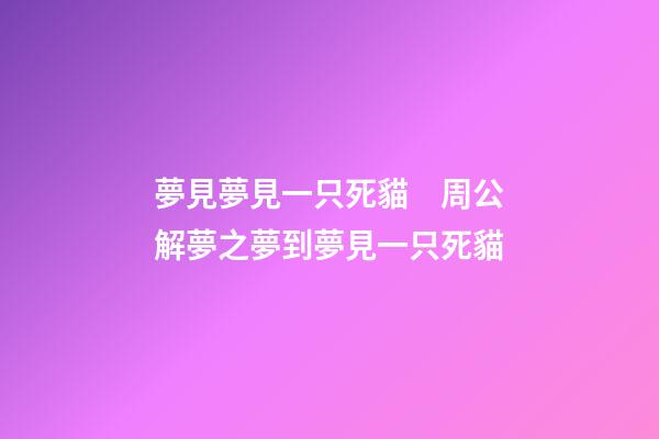 夢見夢見一只死貓　周公解夢之夢到夢見一只死貓